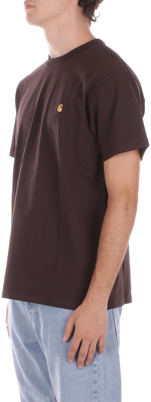 Carhartt T-Shirts And Polos Brown Bruin