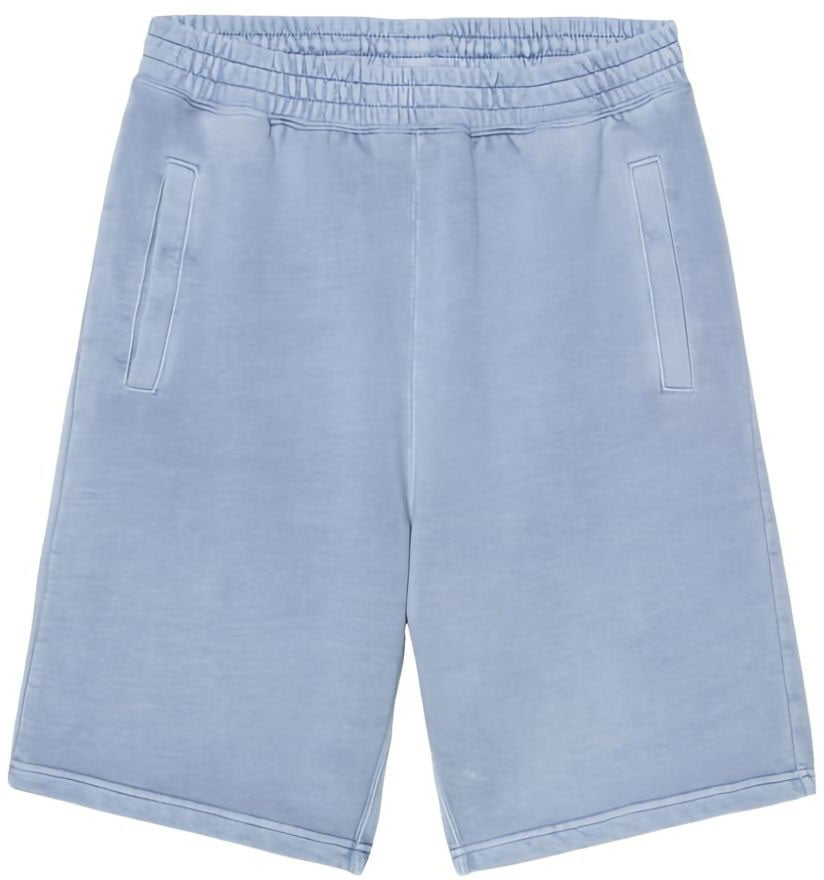 Carhartt Shorts Blue Blauw