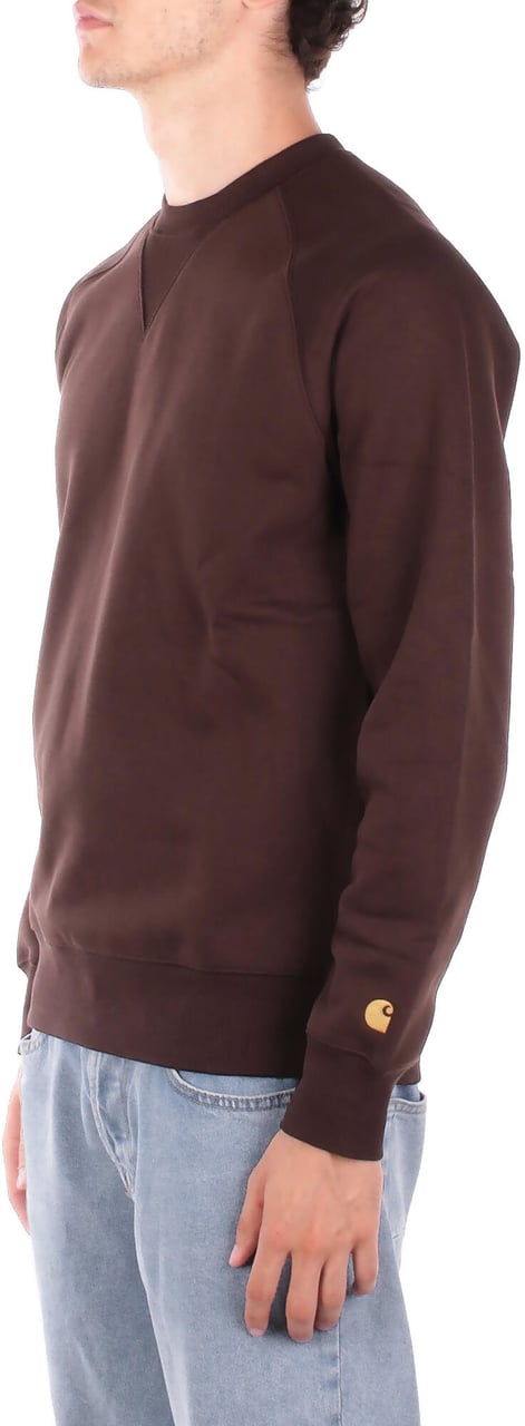 Carhartt Sweaters Brown Bruin