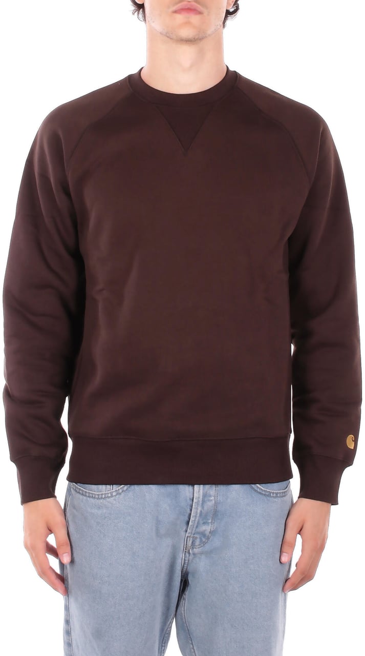 Carhartt Sweaters Brown Bruin