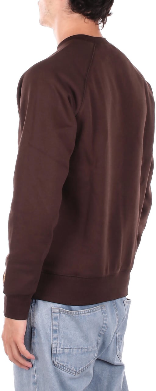 Carhartt Sweaters Brown Bruin