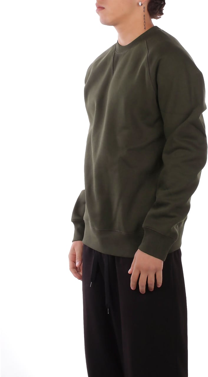Carhartt Sweaters Green Groen