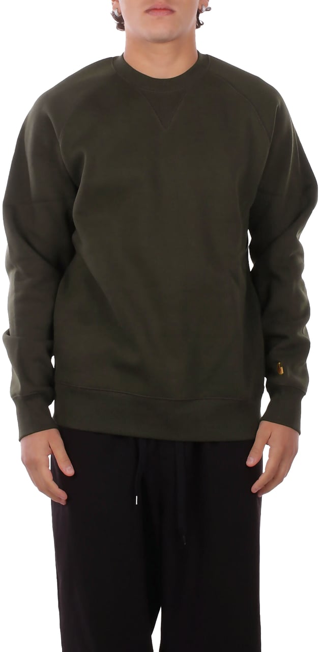 Carhartt Sweaters Green Groen