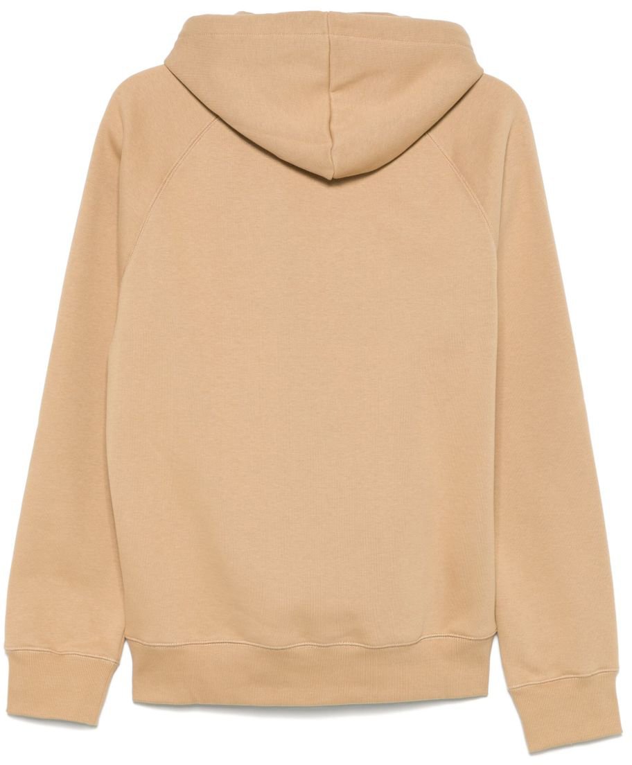 Carhartt Sweaters Brown Bruin