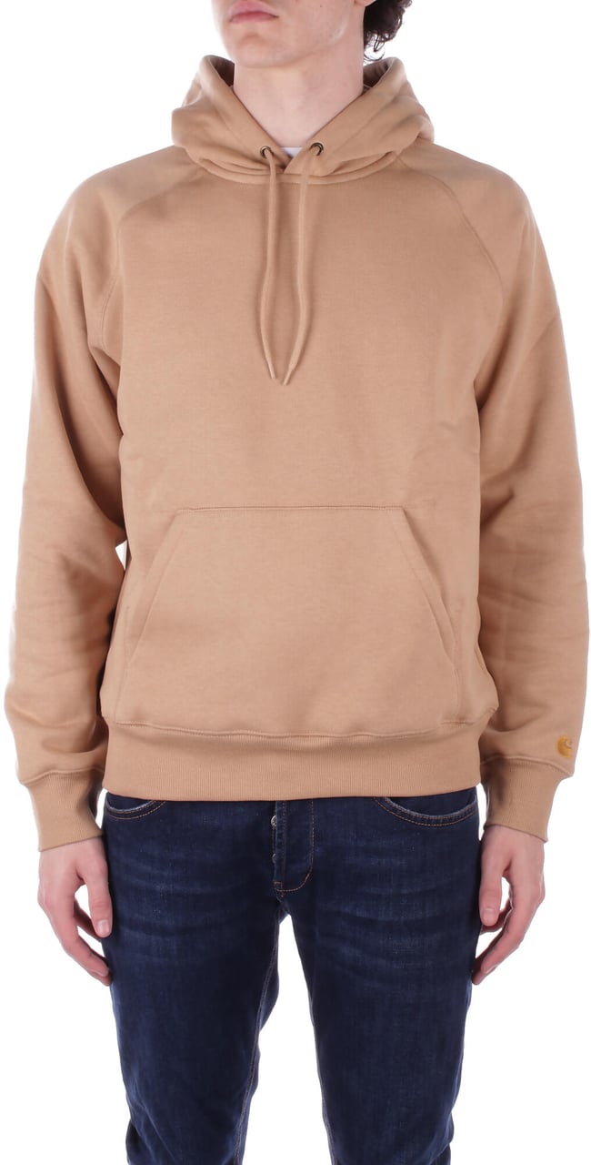 Carhartt Sweaters Dusty H Brown Bruin