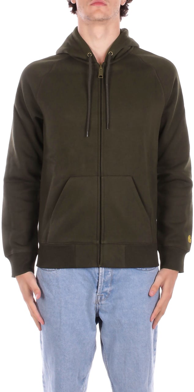 Carhartt Sweaters Green Groen