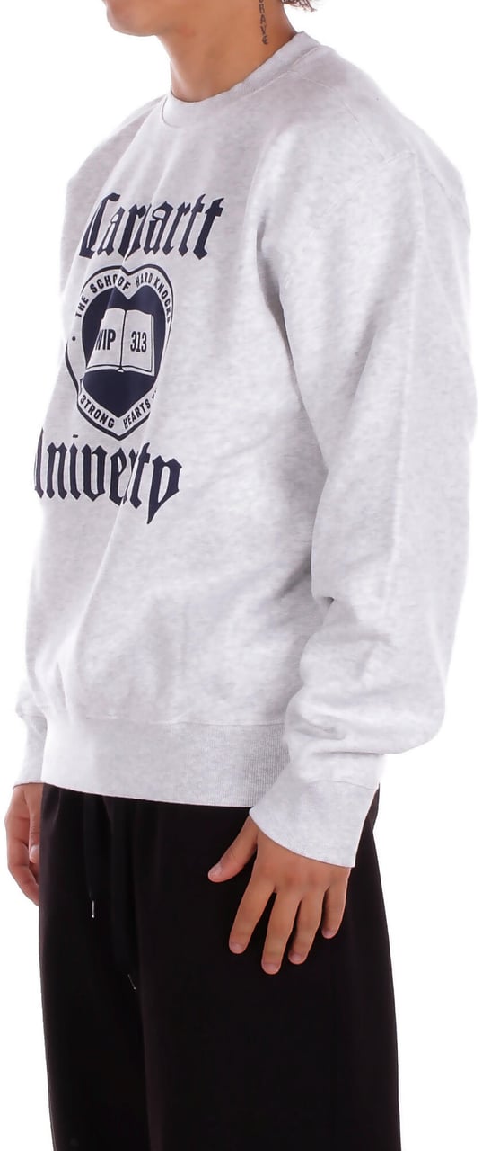 Carhartt Sweaters Grey Grijs