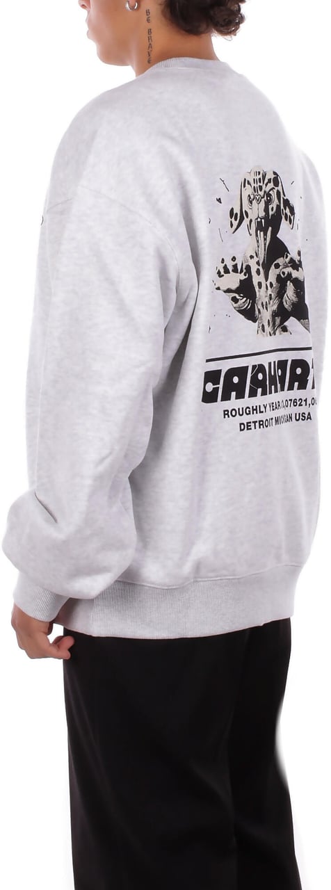 Carhartt Sweaters Grey Grijs