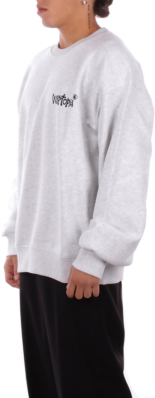 Carhartt Sweaters Grey Grijs