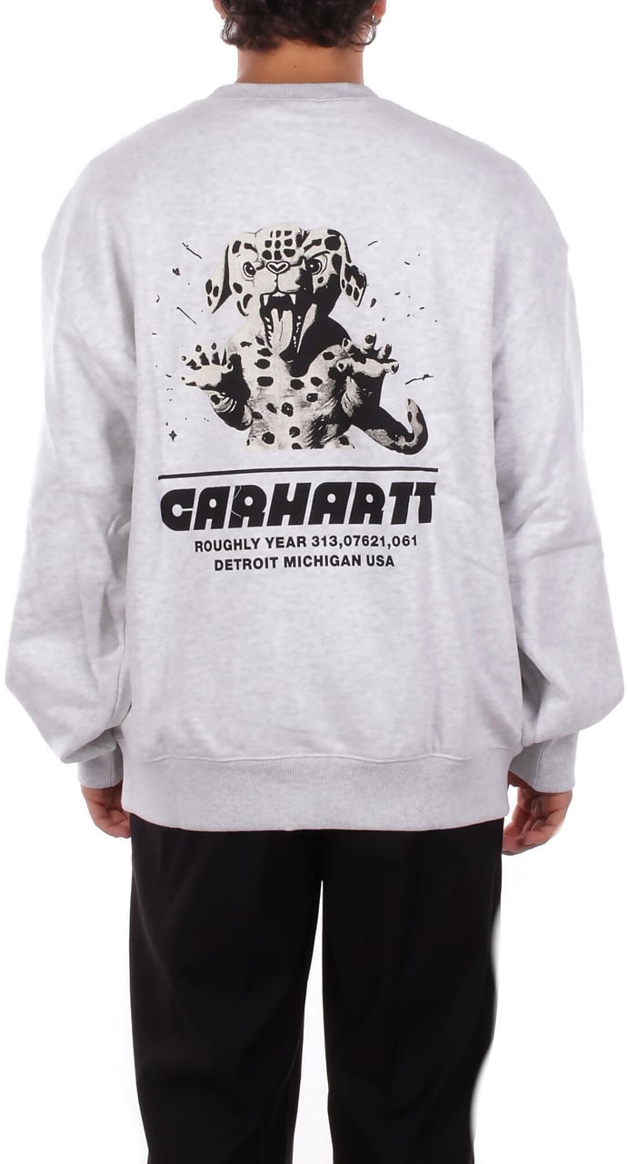 Carhartt Sweaters Grigio Lichtgrijs