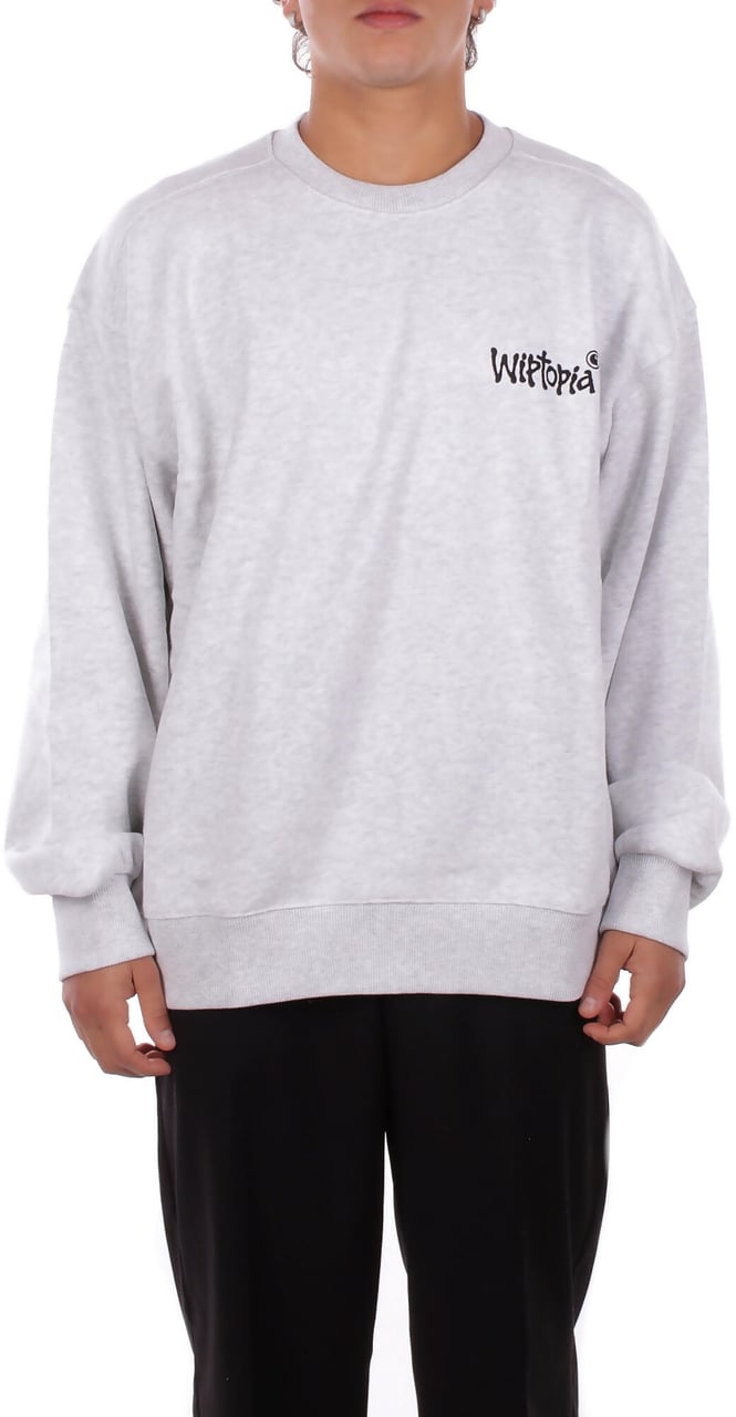 Carhartt Sweaters Grey Grijs