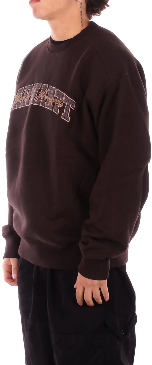 Carhartt Sweaters Brown Bruin