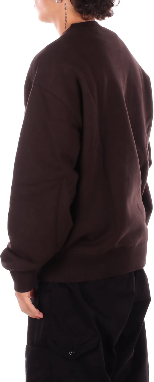 Carhartt Sweaters Brown Bruin