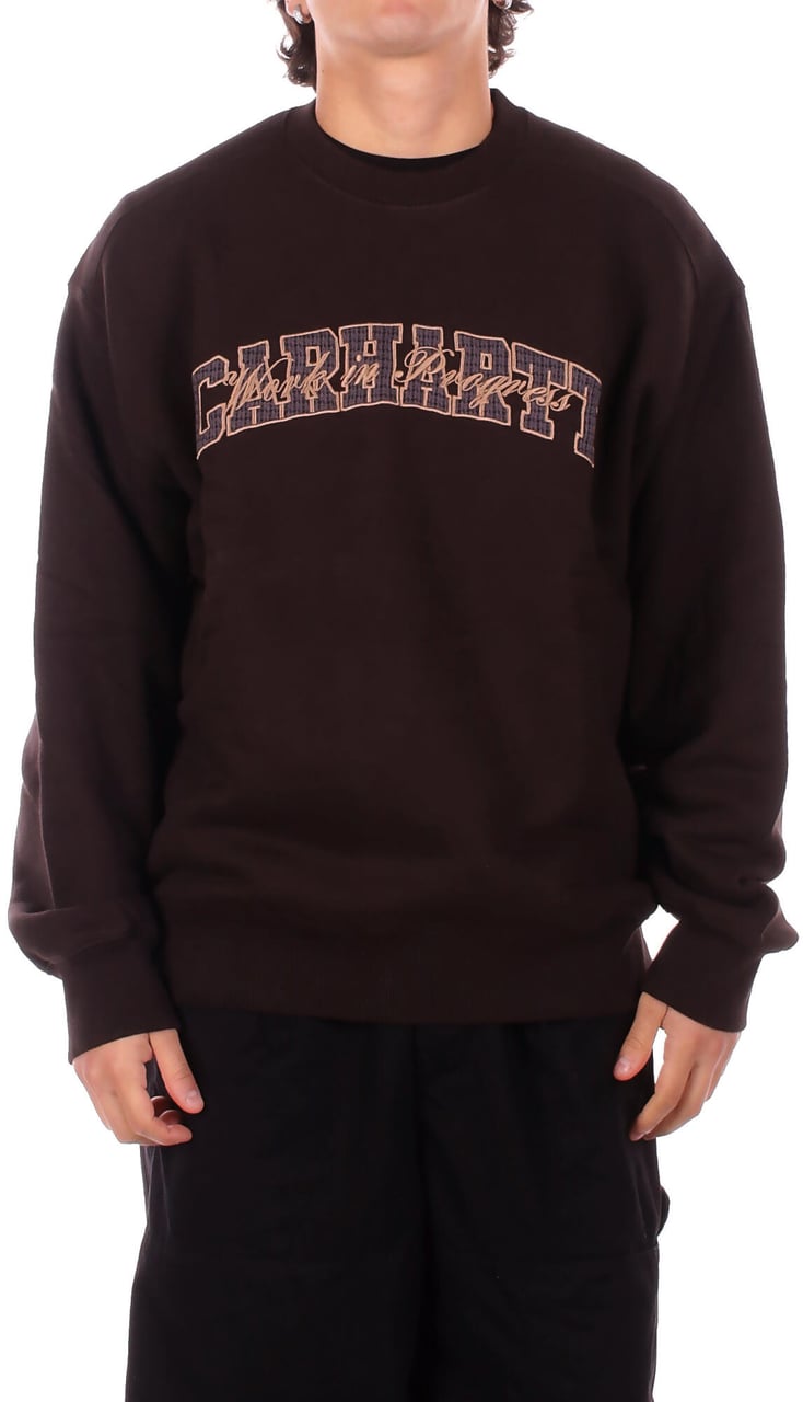 Carhartt Sweaters Brown Bruin
