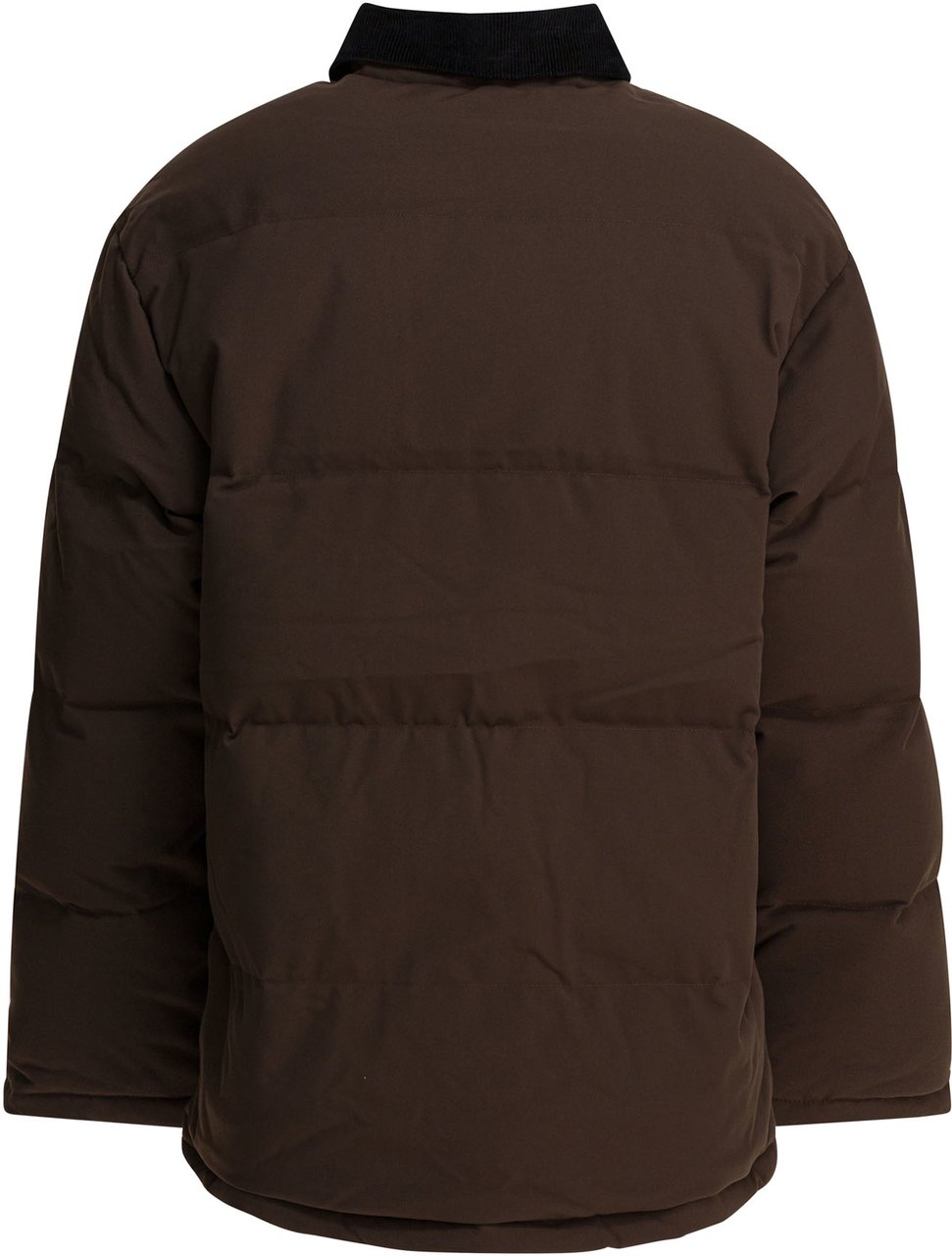 Carhartt Nylon "Rayler" down jacket Bruin