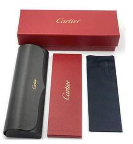 Cartier Ct0476S Santos De Ruthenium Metal Pilot Sunglasses Grijs
