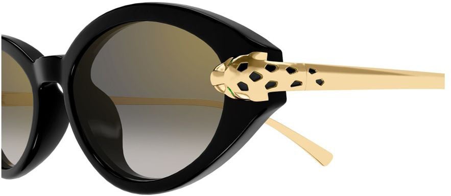 Cartier Ct0634s Oval-Shaped Black Acetate Sunglasses Grijs