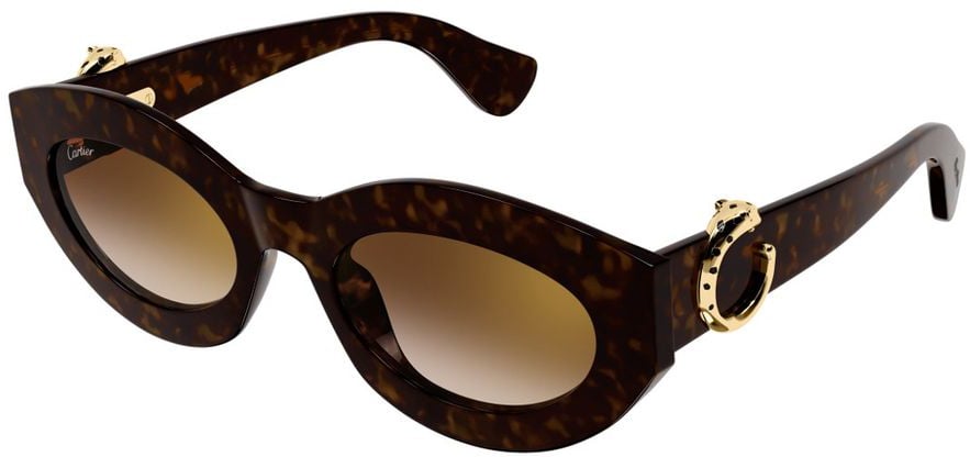 Cartier Ct0638s Bold Tortoiseshell Cat-Eye Sunglasses Zwart