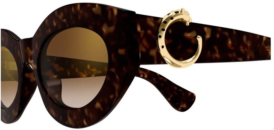 Cartier Ct0638s Bold Tortoiseshell Cat-Eye Sunglasses Zwart