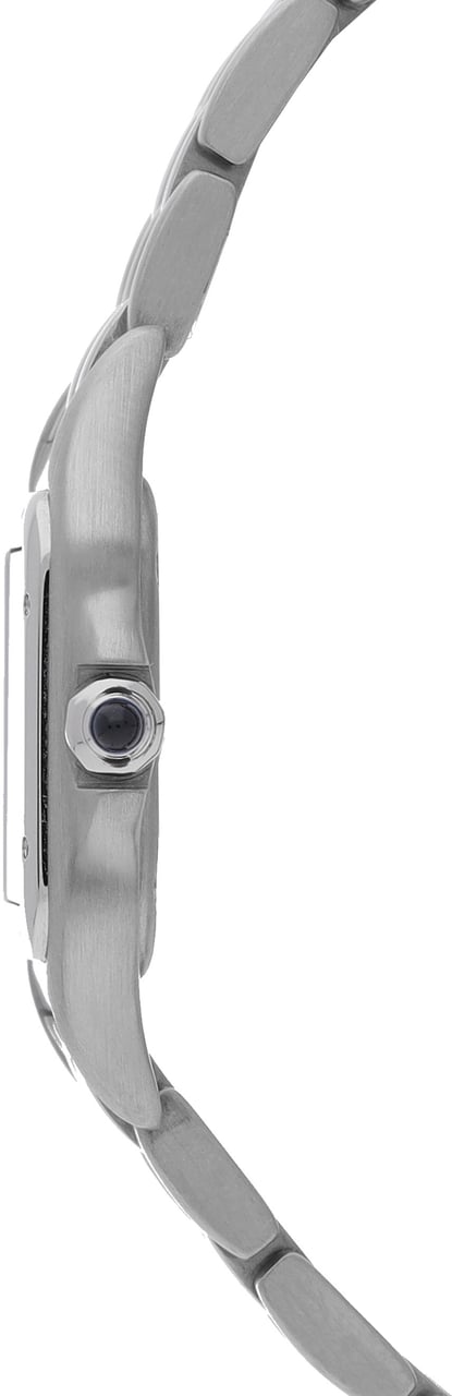 Cartier Panthere Zilver