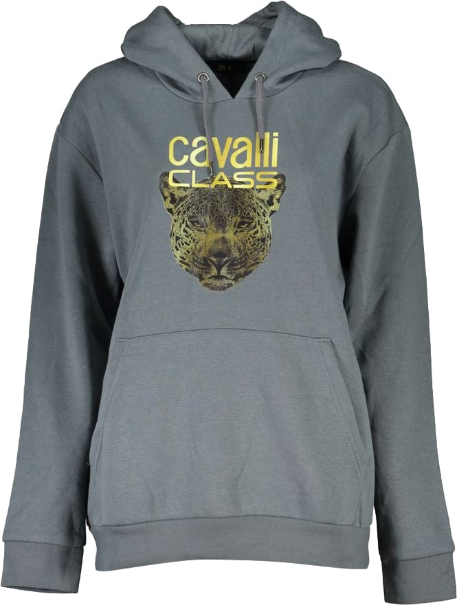 Cavalli Class Grigio Polyester Women Sweatshirt Grijs