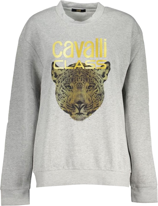 Cavalli Class Grigio Polyester Woman Sweatshirt Grijs