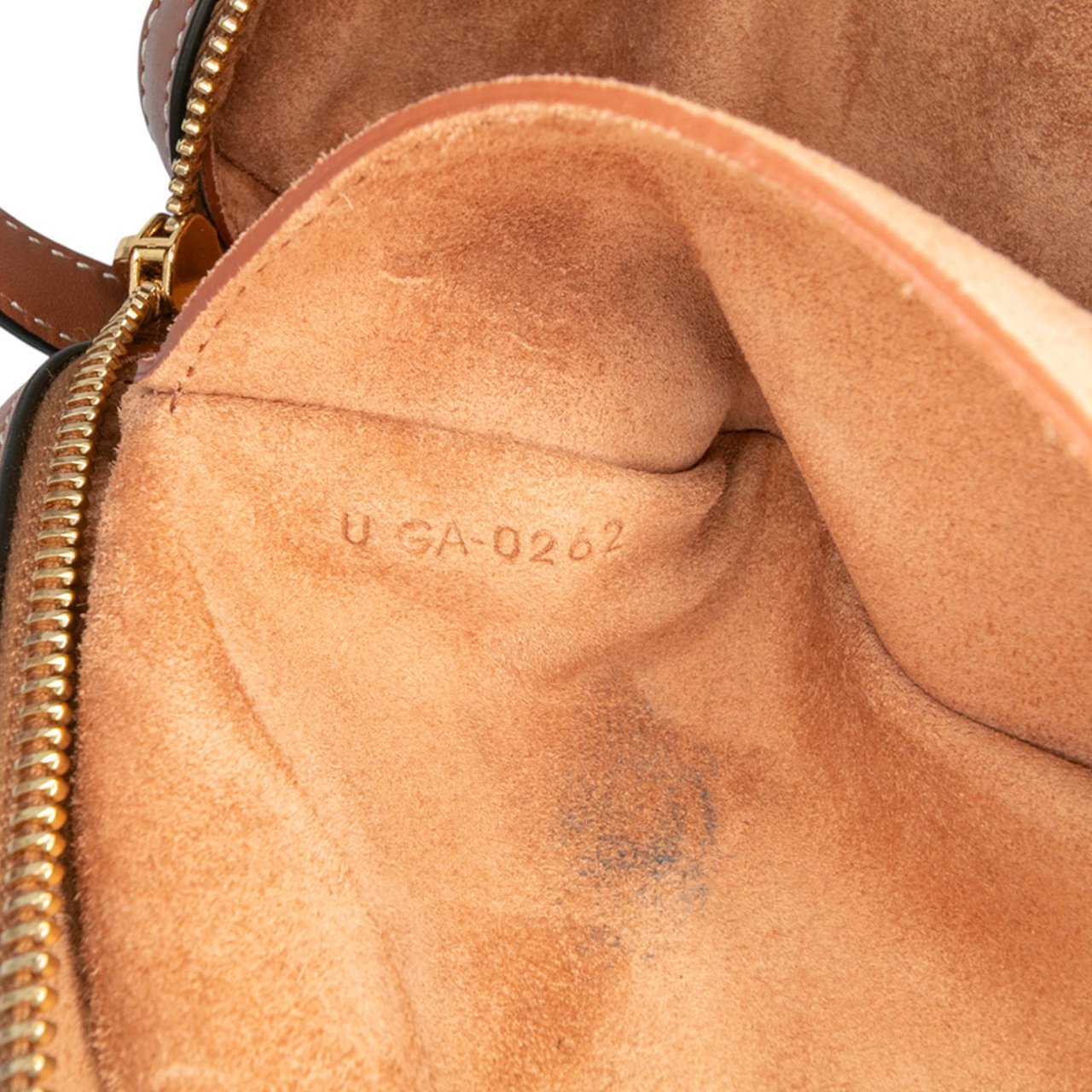 Celine Mini Calfskin Cuir Triomphe Camera Shoulder Bag Bruin