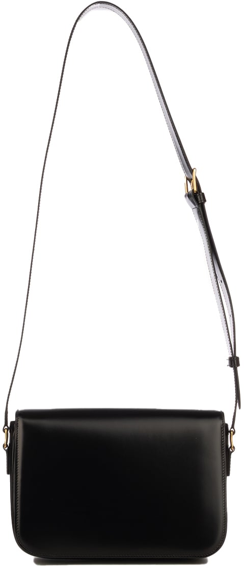 Celine MEDIUM-TRIOMPHE SHINY CALFSKIN Divers