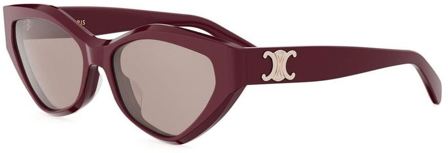 Celine Triomphe Acetate Cat-Eye Sunglasses With Triomphe Logo Roze