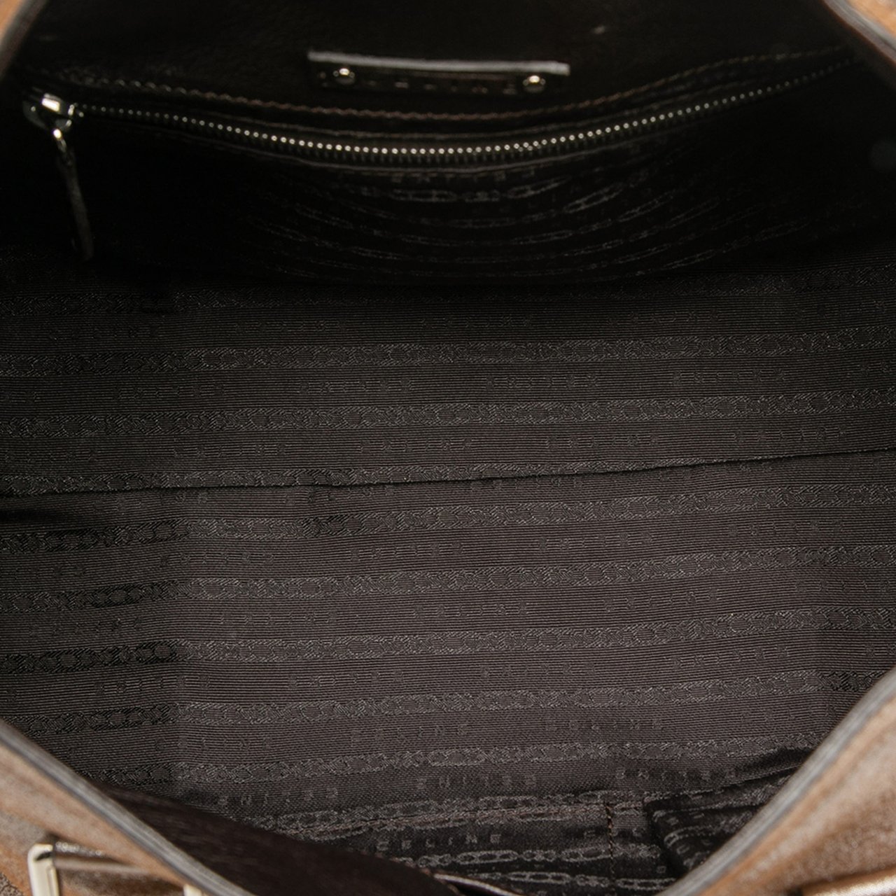 Celine Shimmer Leather Front Flap Shoulder Bag Bruin