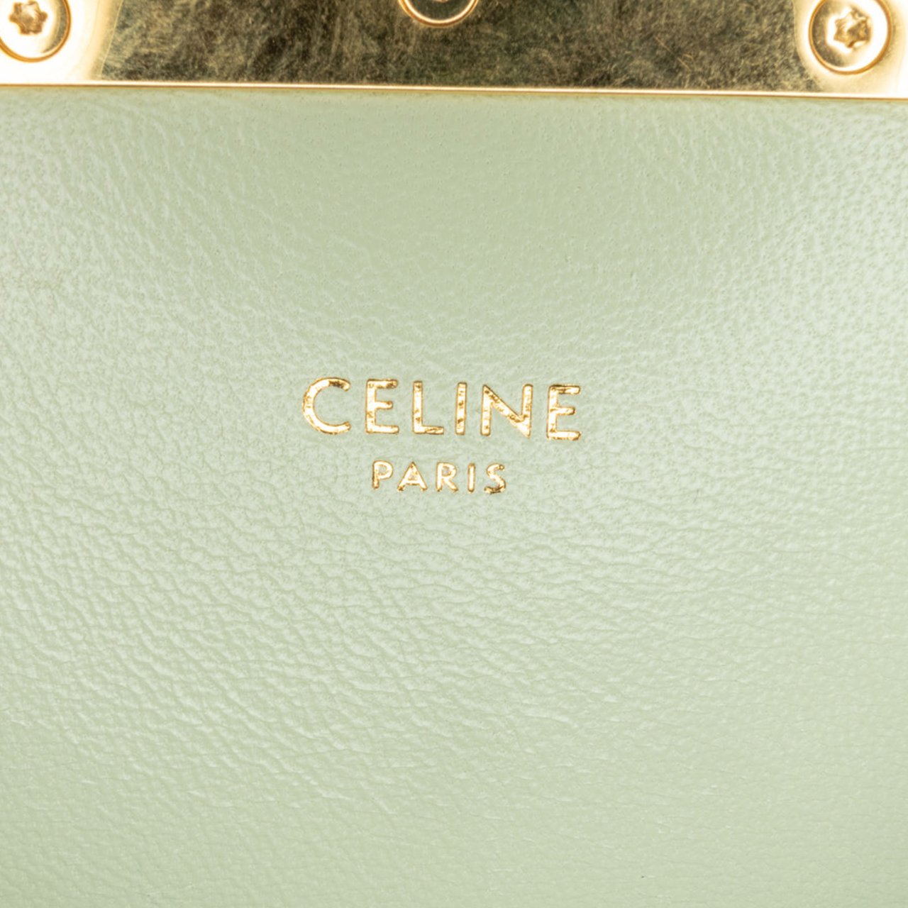 Celine Teen Triomphe Coated Canvas and Calfskin Triomphe Crossbody Bruin