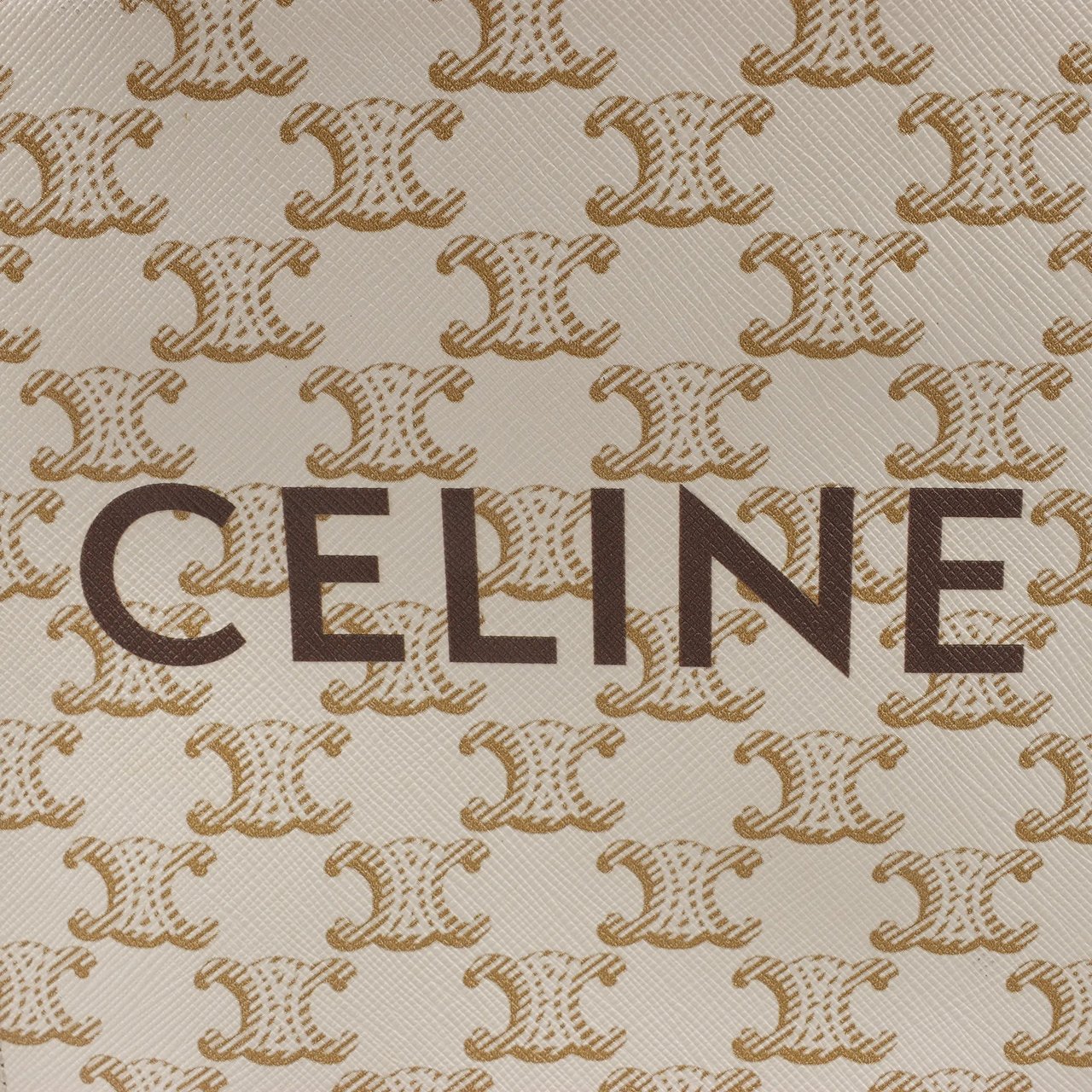 Celine Celine Triomphe Mini Vertical Hippopotamus PVC x Leather 2Way Handbag White x Brown Beige