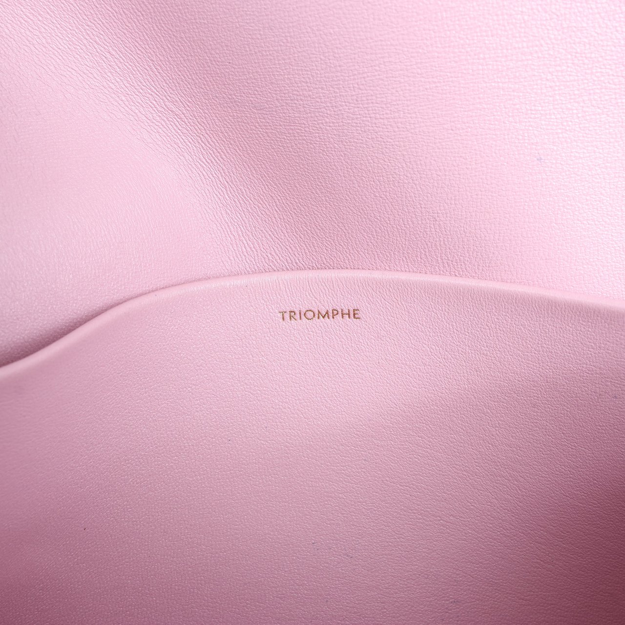 Celine Celine Triomphe Smooth Leather Small Shoulder Bag in Pink Roze