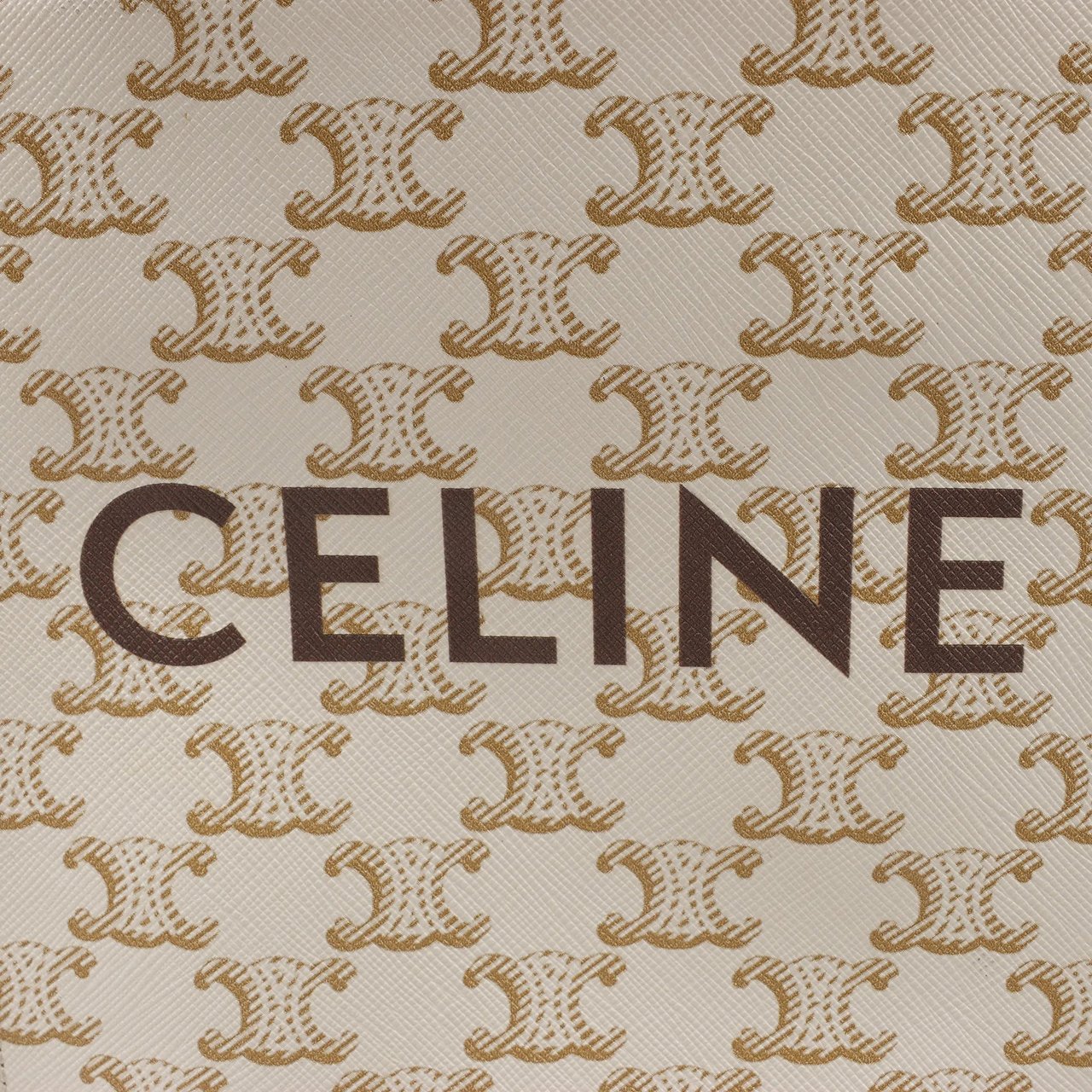 Celine Celine Triomphe Mini Vertical Hippopotamus PVC x Leather 2Way Handbag White x Brown Beige