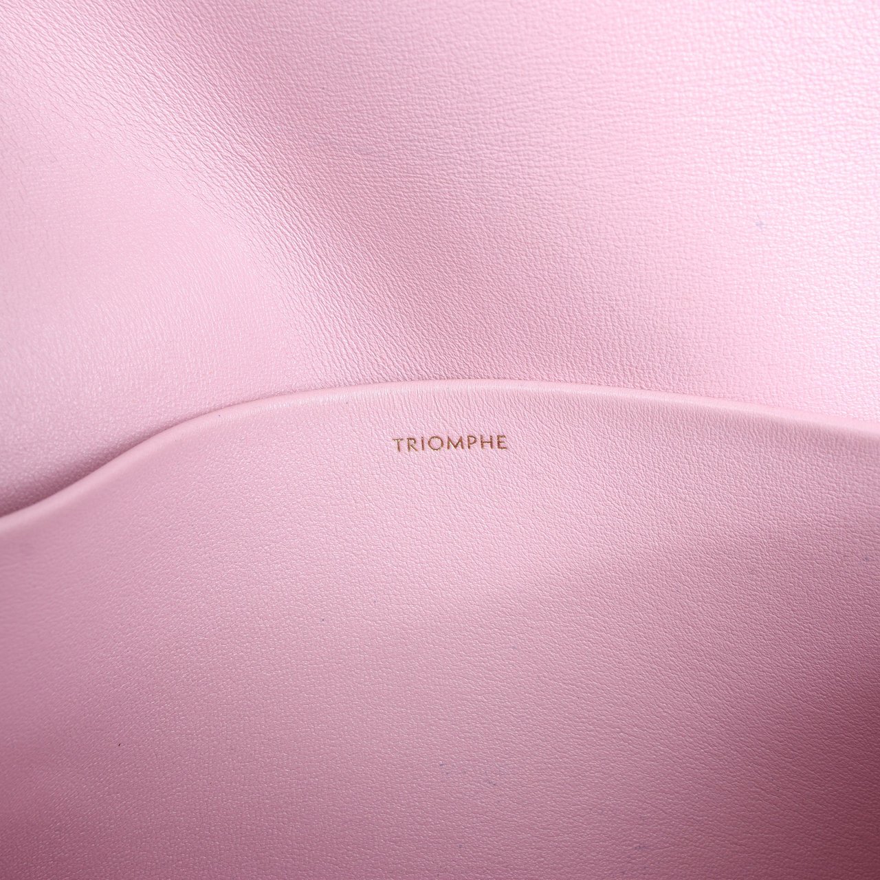 Celine Celine Triomphe Smooth Leather Small Shoulder Bag in Pink Roze