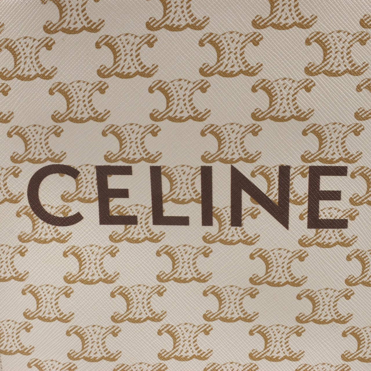Celine Celine Triomphe Mini Vertical Hippopotamus PVC x Leather 2Way Handbag White x Brown Beige