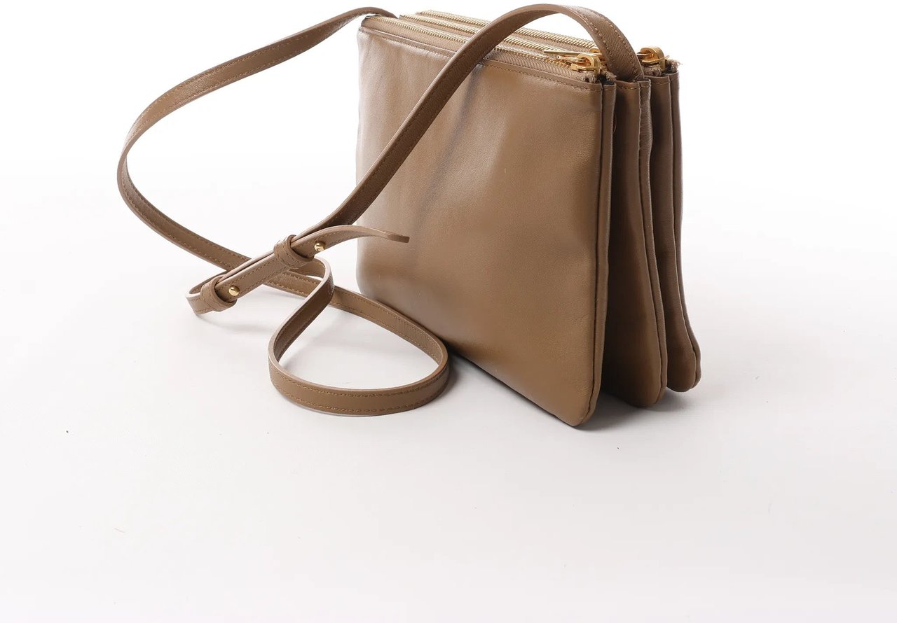 Celine Celine Trio Small Leather Crossbody bag in Brown Bruin