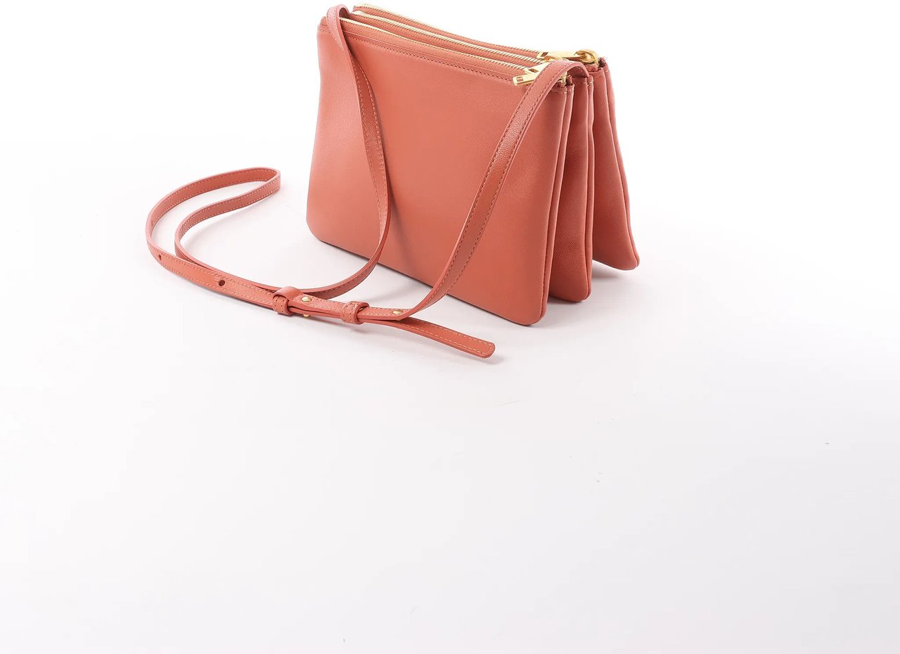 Celine Celine Trio Small Leather Crossbody bag in Orange Oranje