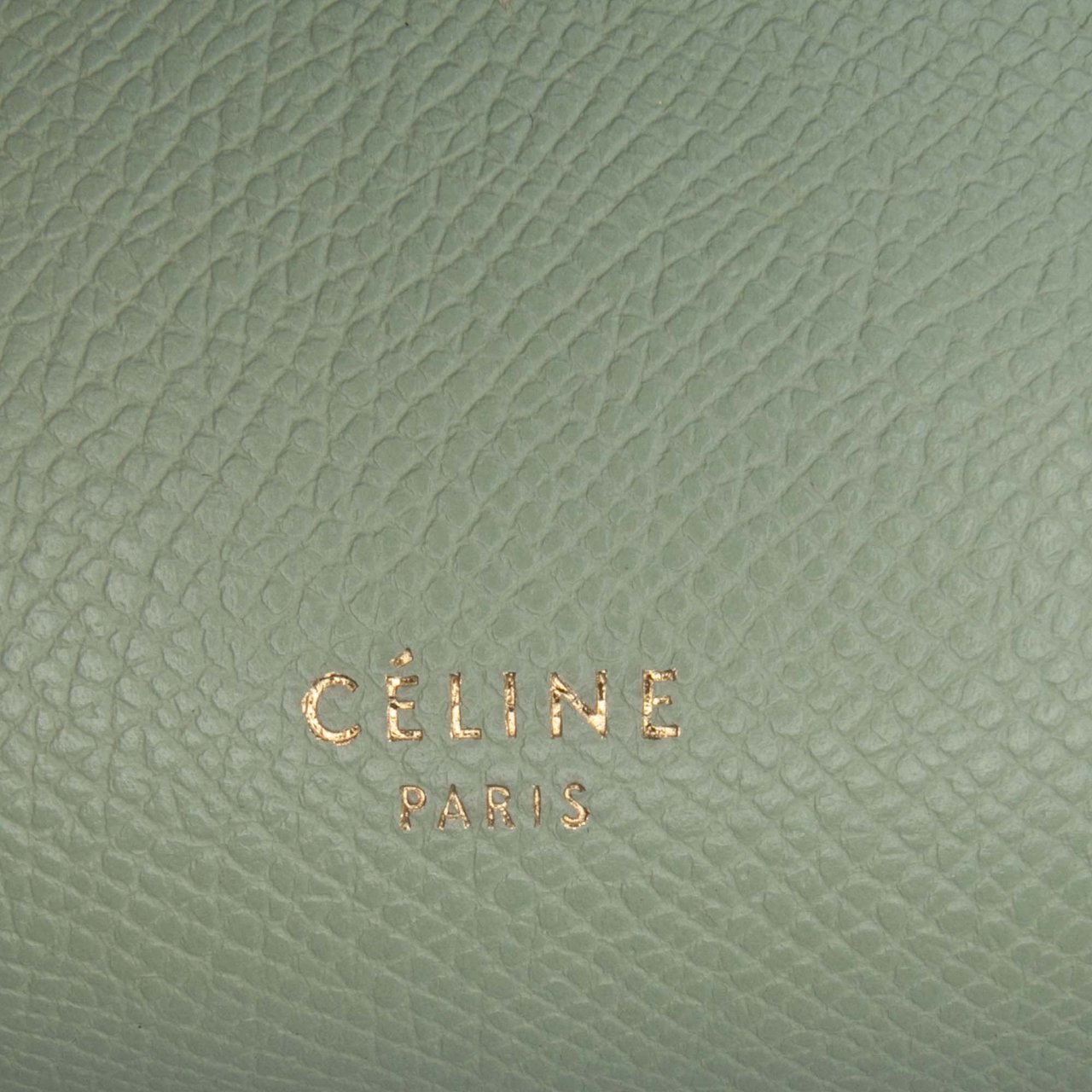 Celine Nano Grained Calfskin Belt Bag Groen