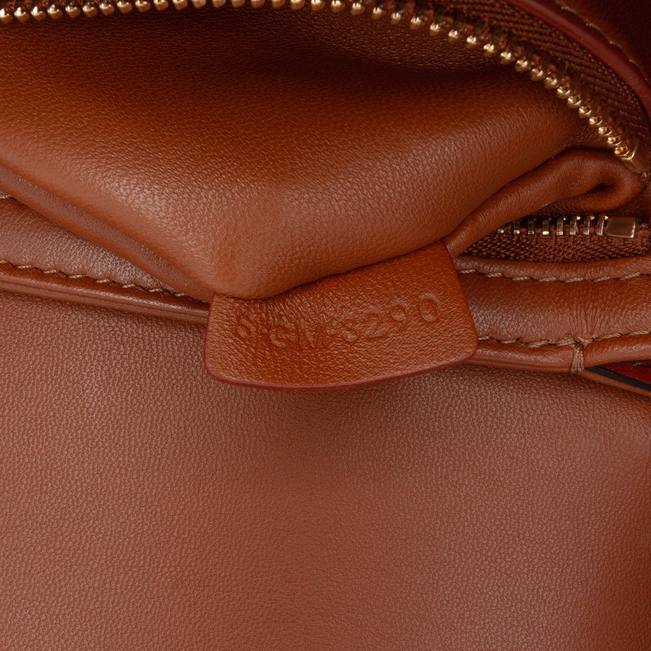Celine Teen Canvas and Calfskin Triomphe Crossbody Bruin