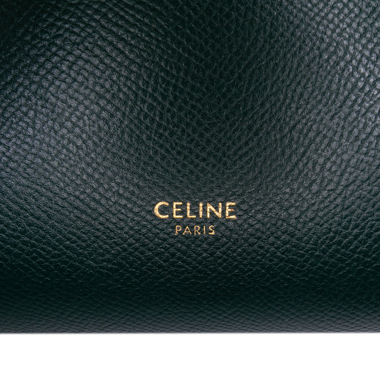 Celine Nano Grained Calfskin Belt Bag Groen