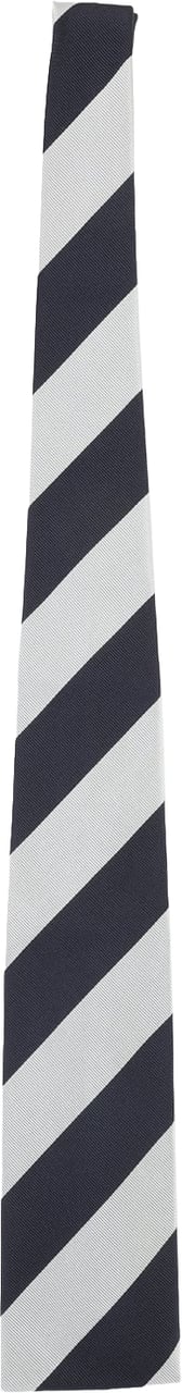 Celine 8.5x145cm Tie Divers