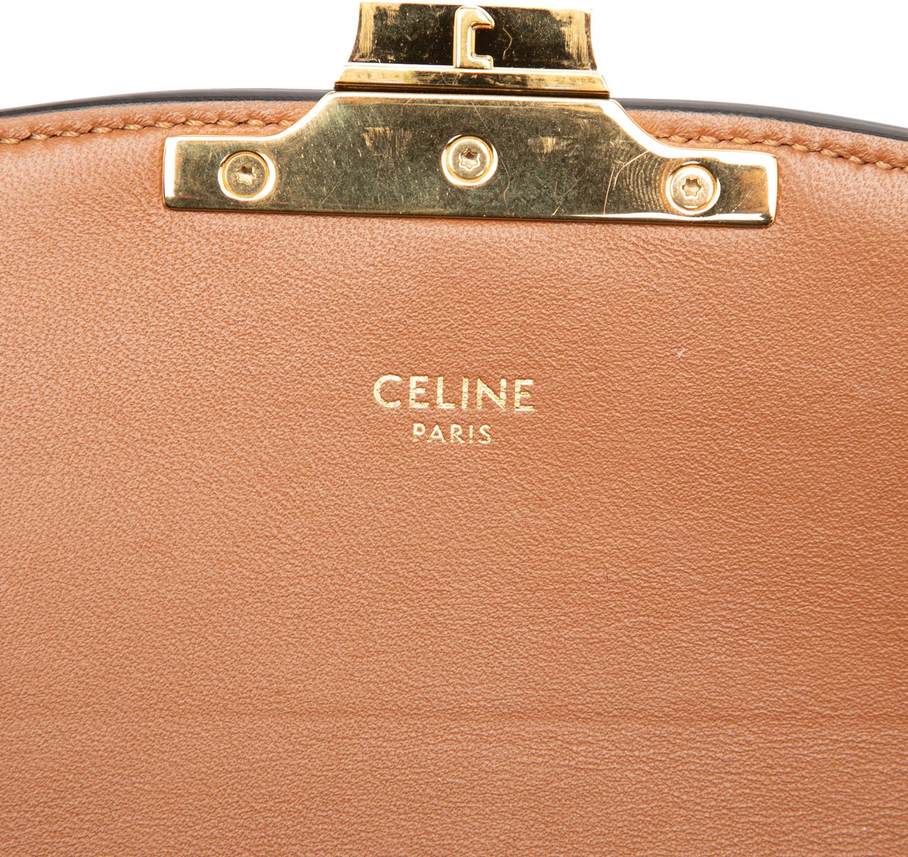 Celine Teen Canvas and Calfskin Triomphe Crossbody Bruin