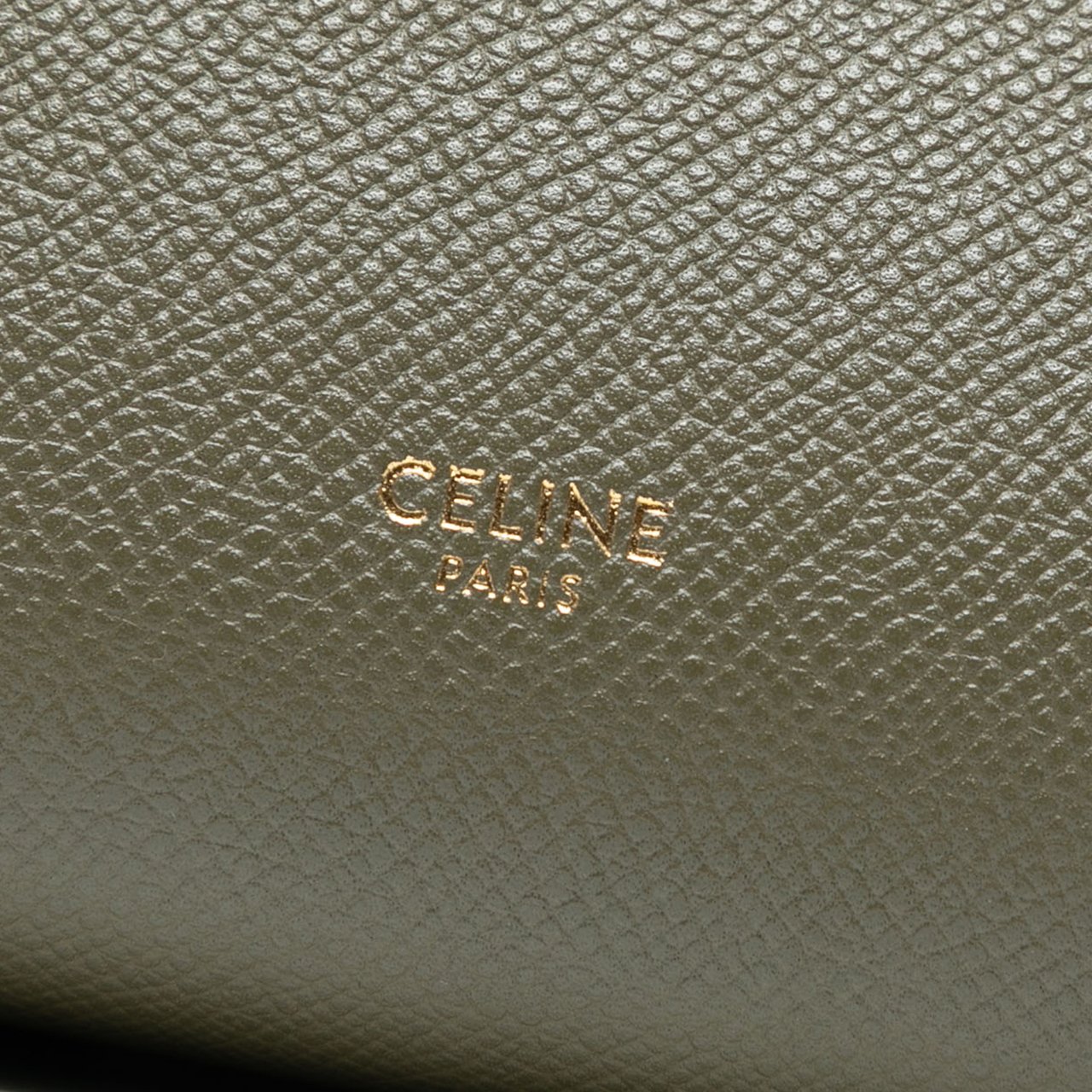 Celine Nano Grained Calfskin Belt Bag Groen