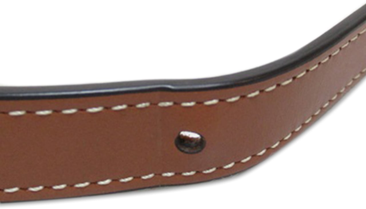 Celine Medium Triomphe Coated Canvas Folco Crossbody Wit