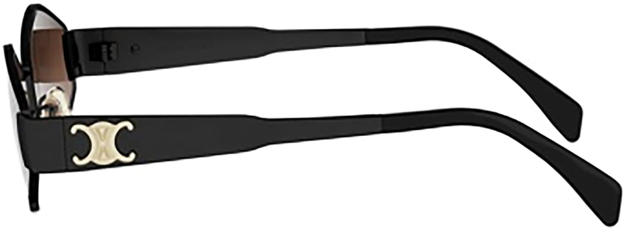 Celine Celine CL40254U Zwart