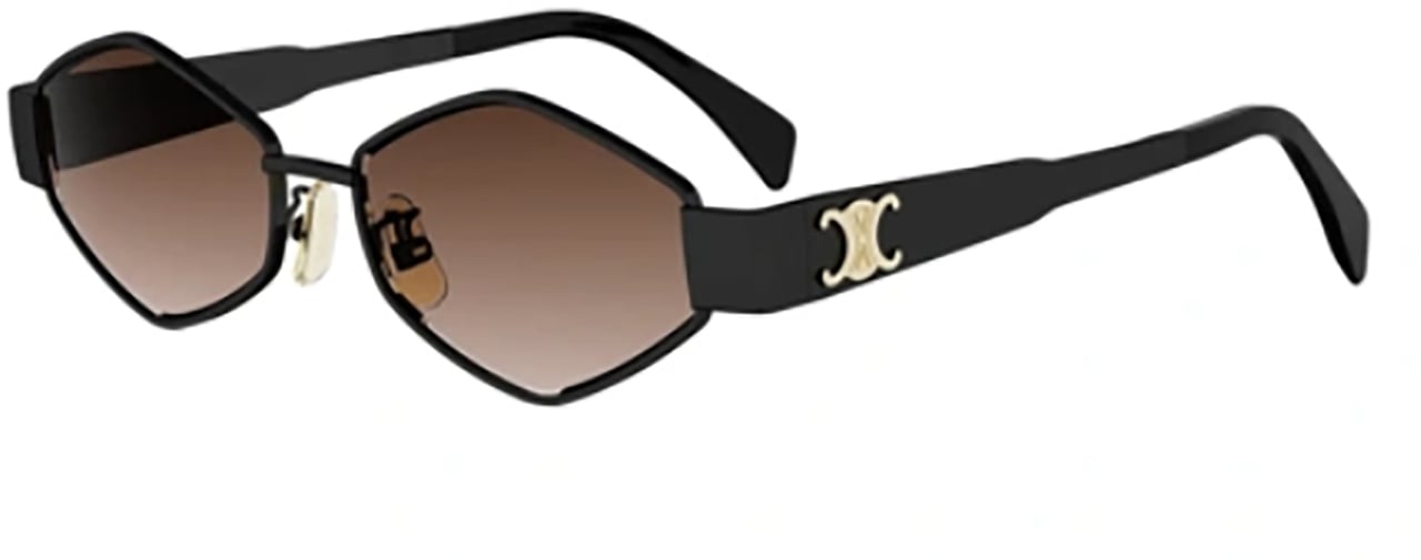 Celine Celine CL40254U Zwart