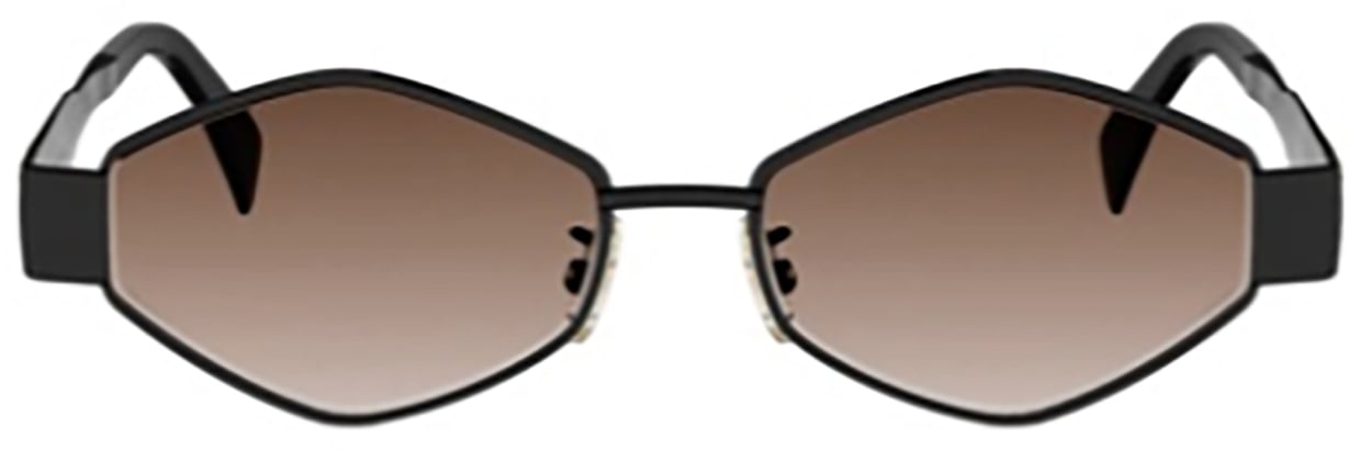 Celine Celine CL40254U Zwart