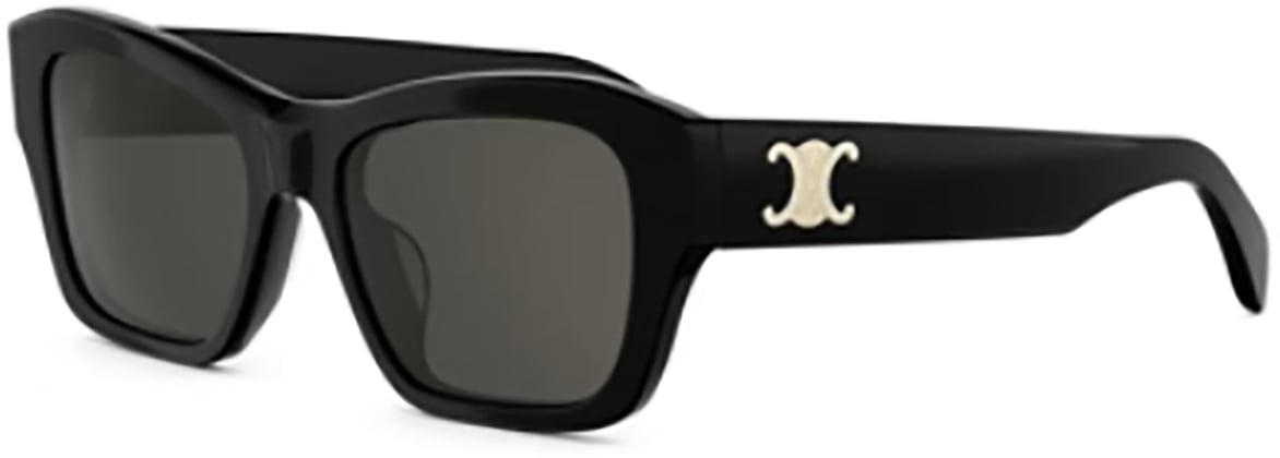 Celine Celine CL40330U Zwart