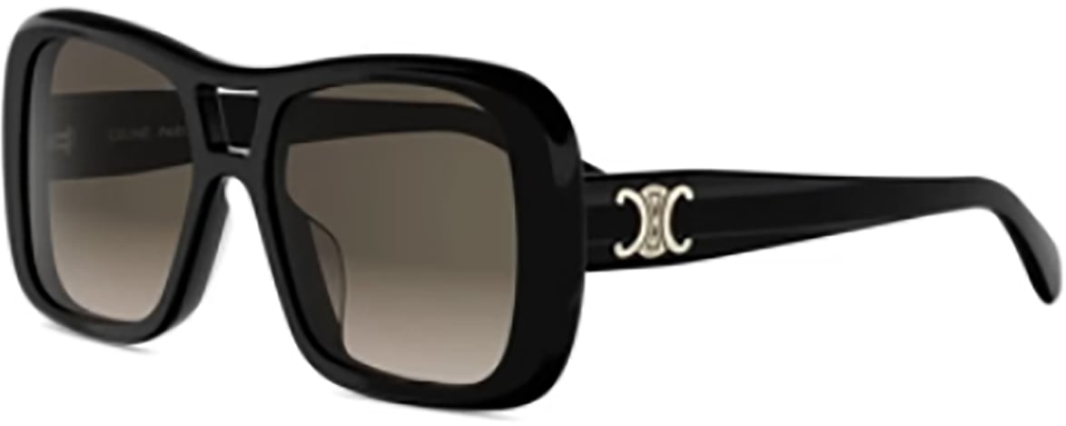 Celine Celine CL40331U Zwart